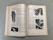 Load image into Gallery viewer, x Shoemaker book by Max Sahm