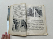 Load image into Gallery viewer, Book "Fachkunde für Schuhmacher" and "Materiallehre, Werkzeug- und Maschinenkunde"