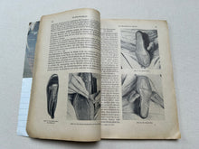 Load image into Gallery viewer, Book "Fachkunde für Schuhmacher" and "Materiallehre, Werkzeug- und Maschinenkunde"