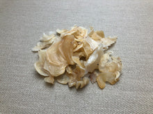 Load image into Gallery viewer, x Gum tragacanth for shoe finishing