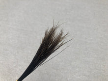 Load image into Gallery viewer, x Wild boar bristles natural black