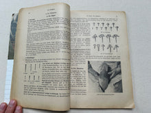 Load image into Gallery viewer, Book "Fachkunde für Schuhmacher" and "Materiallehre, Werkzeug- und Maschinenkunde"
