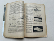 Load image into Gallery viewer, Book "Fachkunde für Schuhmacher" and "Materiallehre, Werkzeug- und Maschinenkunde"
