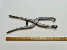 Load image into Gallery viewer, Bunion stretcher pliers
