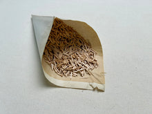 Load image into Gallery viewer, Wooden pegs 19 x 2,1 mm in vintage coffee bag
