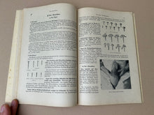 Load image into Gallery viewer, Shoemaker book by Max Sahm
